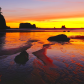 Olympic National Park
