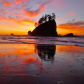 Olympic National Park