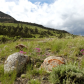 Chief Joseph Scenic Byway