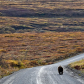 Denali National Park