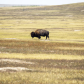 Badlands National Park