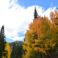Pike National Forest