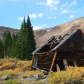 Pike National Forest