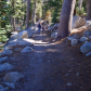 Yosemite National Park