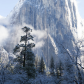 Yosemite National Park