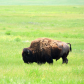 Badlands National Park
