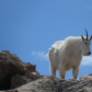 Arapaho & Roosevelt National Forests