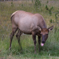 Rocky Mountain National Park