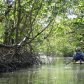 Everglades National Park