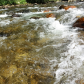 Pisgah National Forest