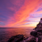 Acadia National Park