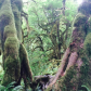 Olympic National Park