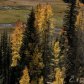 Grand Mesa National Forest