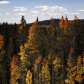 Grand Mesa National Forest