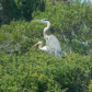 Cape Hatteras National Seashore