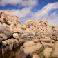 Joshua Tree National Park