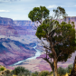 Grand Canyon National Park