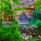 Coconino National Forest