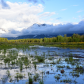 Grand Teton National Park