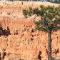 Bryce Canyon National Park