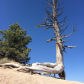 Bryce Canyon National Park
