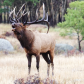 Rocky Mountain National Park