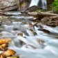 Glacier National Park