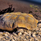 Red Rock National Conservation Area
