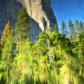 Yosemite National Park