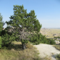 Badlands National Park