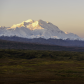 Denali National Park