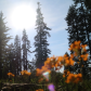 Sequoia National Park