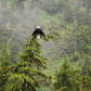 Kenai Fjords National Park