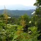 Great Smoky Mountains National Park