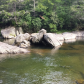 Pisgah National Forest