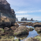 Olympic National Park