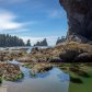 Olympic National Park
