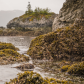 Glacier Bay National Park