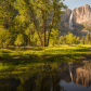 Yosemite National Park
