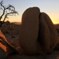 Joshua Tree National Park