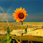Badlands National Park