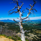 Mesa Verde National Park