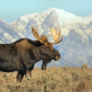 Grand Teton National Park