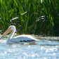 Tule Lake National Wildlife Refuge