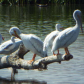 Tule Lake National Wildlife Refuge