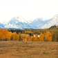 Grand Teton National Park