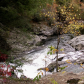 Great Smoky Mountains National Park