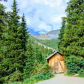 Uncompahgre National Forest