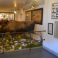 Klondike Gold Rush National Park