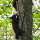Shenandoah National Park